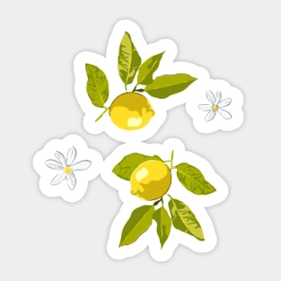 Lemon and flowers Sticker